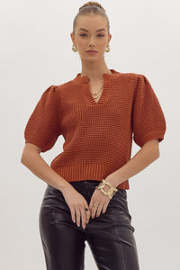 Solid v-neck short sleeve knit top