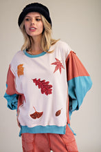 Load image into Gallery viewer, Color block pullover
