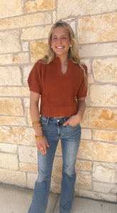 Solid v-neck short sleeve knit top