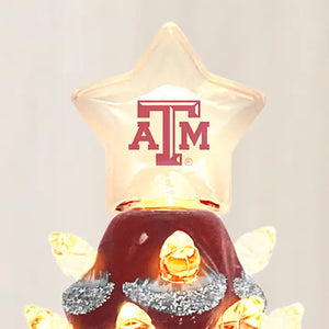 COLLEGIATE NIGHT LIGHTS